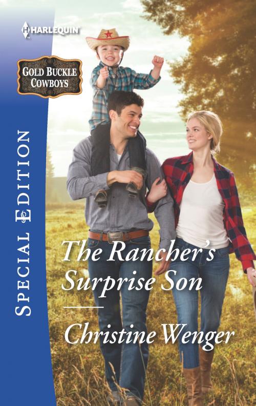 Cover of the book The Rancher's Surprise Son by Christine Wenger, Harlequin