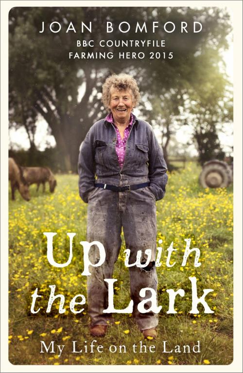 Cover of the book Up With The Lark by Joan Bomford, Hodder & Stoughton