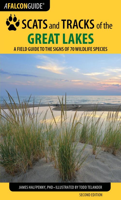 Cover of the book Scats and Tracks of the Great Lakes by James Halfpenny, Falcon Guides