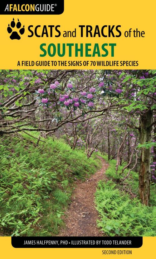 Cover of the book Scats and Tracks of the Southeast by James Halfpenny, James Bruchac, Falcon Guides