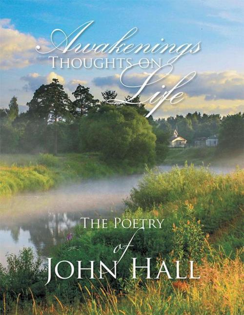 Cover of the book Awakenings by John Hall, Xlibris AU