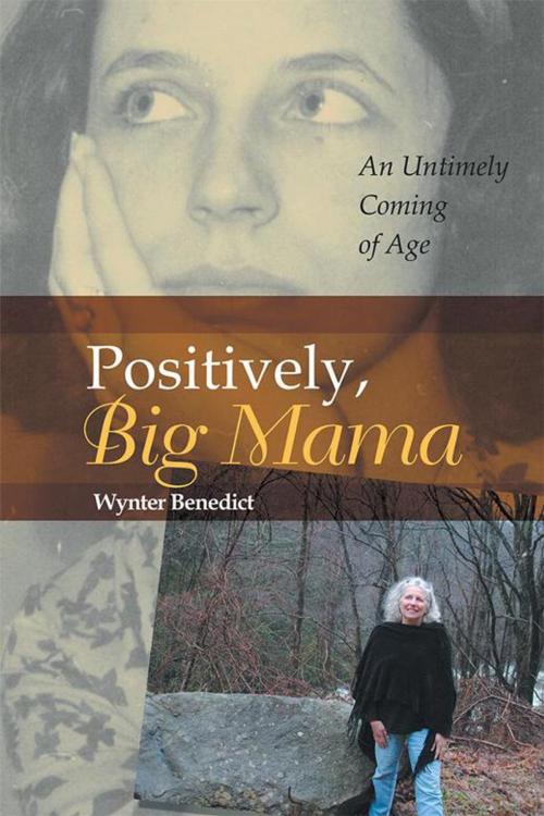 Cover of the book Positively, Big Mama by Wynter Benedict, Balboa Press