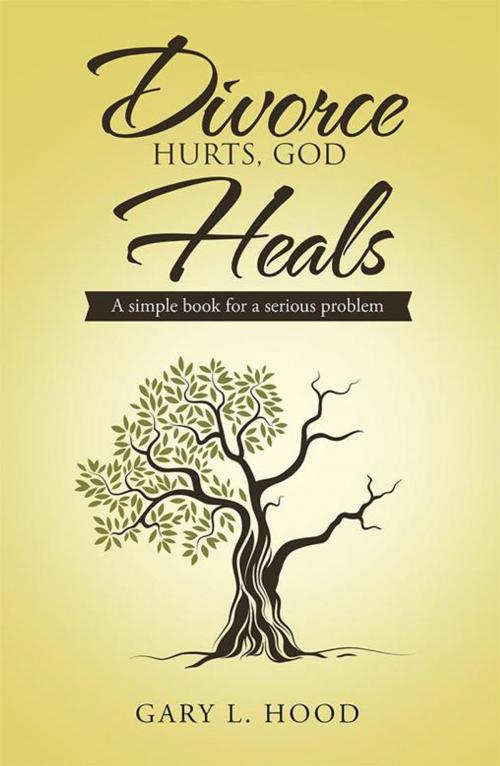 Cover of the book Divorce Hurts, God Heals by Gary L. Hood, WestBow Press