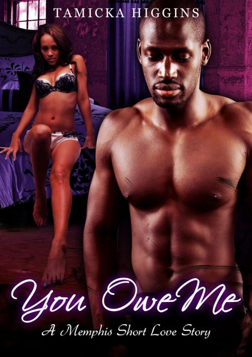 Cover of the book You Owe Me: A Memphis Short Love Story by Aiden Bates, Aiden Bates