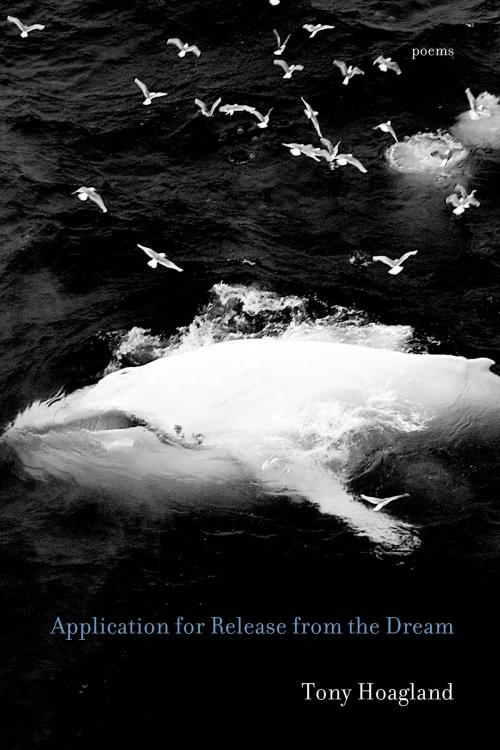 Cover of the book Application for Release from the Dream by Tony Hoagland, Graywolf Press