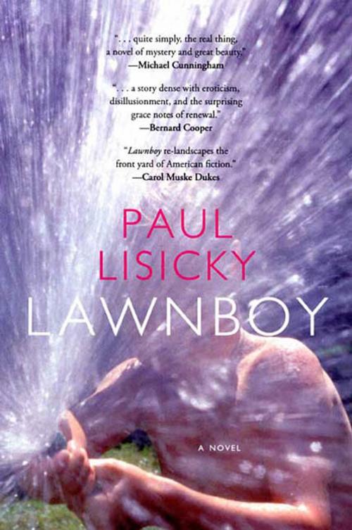 Cover of the book Lawnboy by Paul Lisicky, Graywolf Press