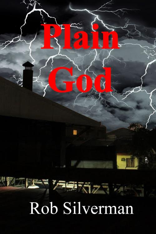 Cover of the book Plain God by Rob Silverman, Black Opal Books