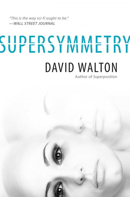 Cover of the book Supersymmetry by David Walton, Pyr