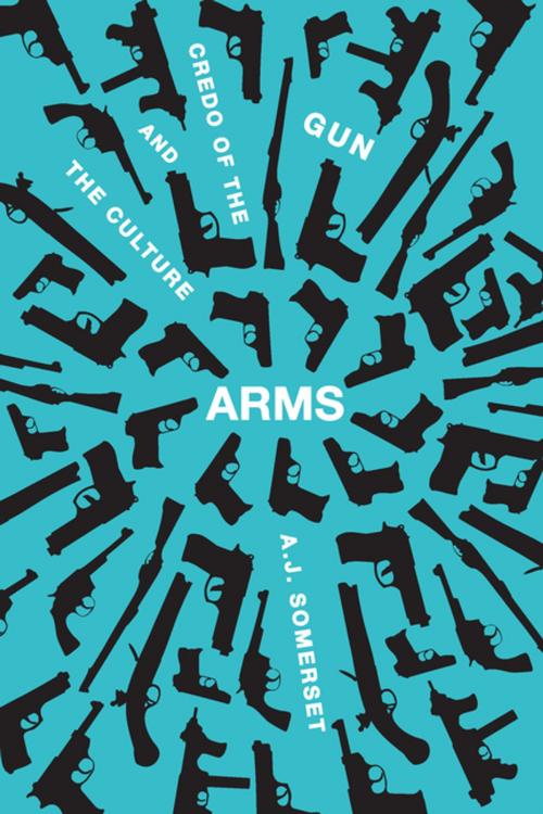 Cover of the book Arms by Andrew Somerset, Biblioasis
