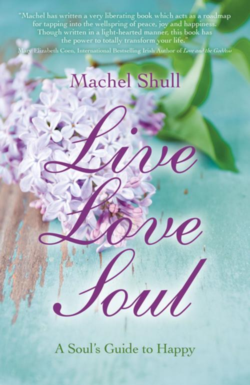 Cover of the book Live Love Soul by Machel Shull, John Hunt Publishing