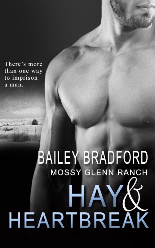 Cover of the book Hay and Heartbreak by Bailey Bradford, Totally Entwined Group Ltd