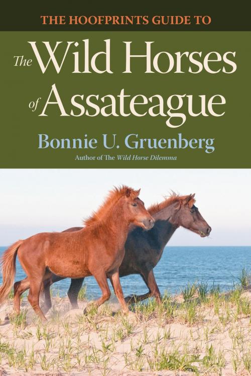 Cover of the book The Hoofprints Guide to the Wild Horses of Assateague by Bonnie Gruenberg, Bonnie Gruenberg