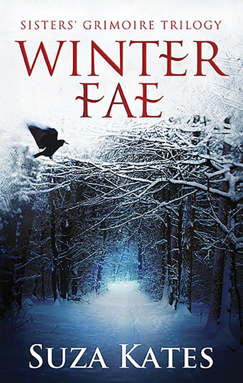 Cover of the book Winter Fae by Suza Kates, Icasm Press