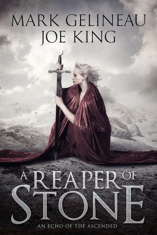 Cover of the book A Reaper of Stone by Mark Gelineau, Joe King, Gelineau and King