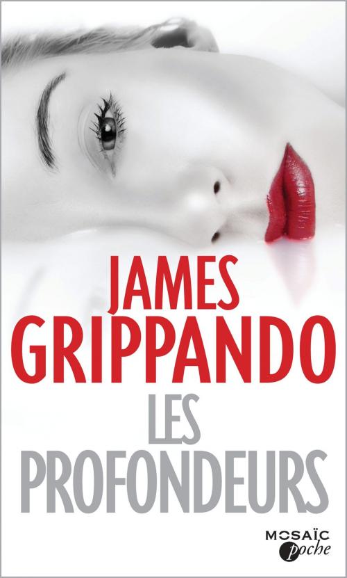 Cover of the book Les profondeurs by James Grippando, HarperCollins