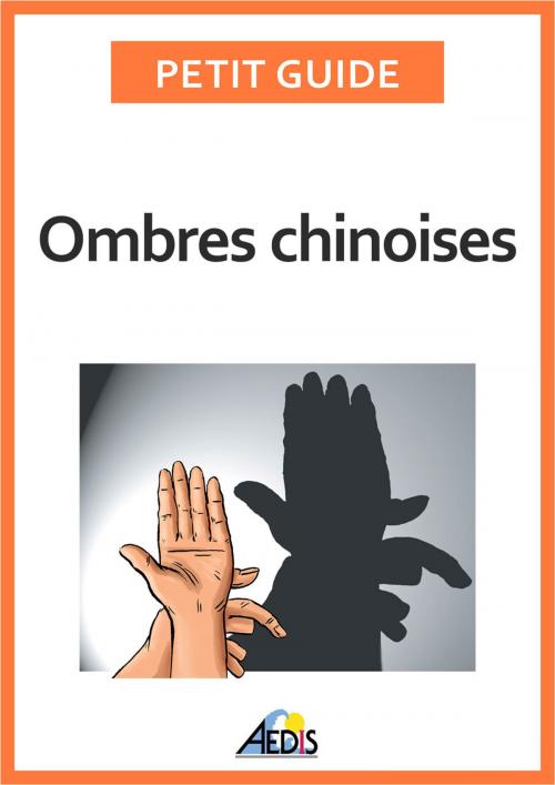 Cover of the book Ombres chinoises by Petit Guide, Éditions Aedis