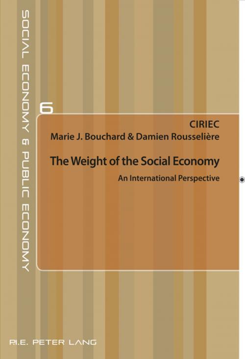 Cover of the book The Weight of the Social Economy by , Peter Lang