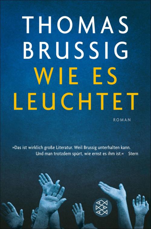 Cover of the book Wie es leuchtet by Thomas Brussig, FISCHER E-Books