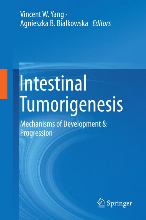 Cover of the book Intestinal Tumorigenesis by , Springer International Publishing