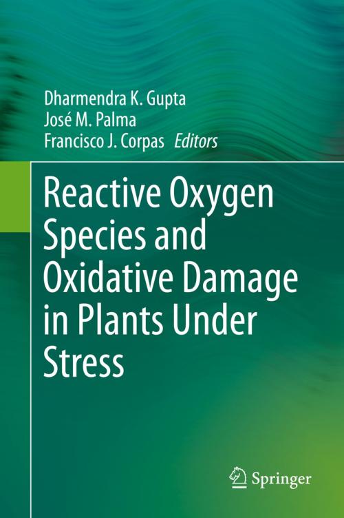 Cover of the book Reactive Oxygen Species and Oxidative Damage in Plants Under Stress by , Springer International Publishing