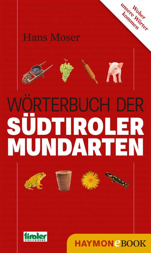 Cover of the book Wörterbuch der Südtiroler Mundarten by Hans Moser, Haymon Verlag