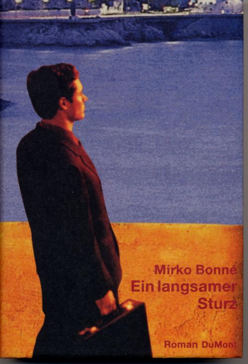 Cover of the book Ein langsamer Sturz by Mirko Bonné, Schöffling & Co.