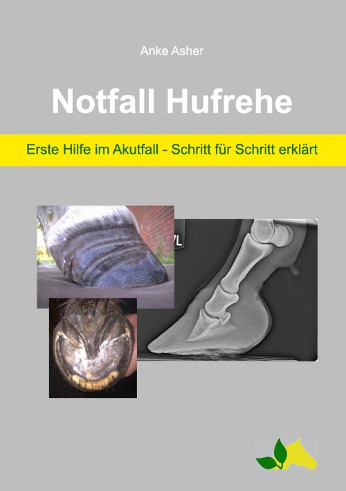 Cover of the book Notfall Hufrehe by Anke Asher, Books on Demand