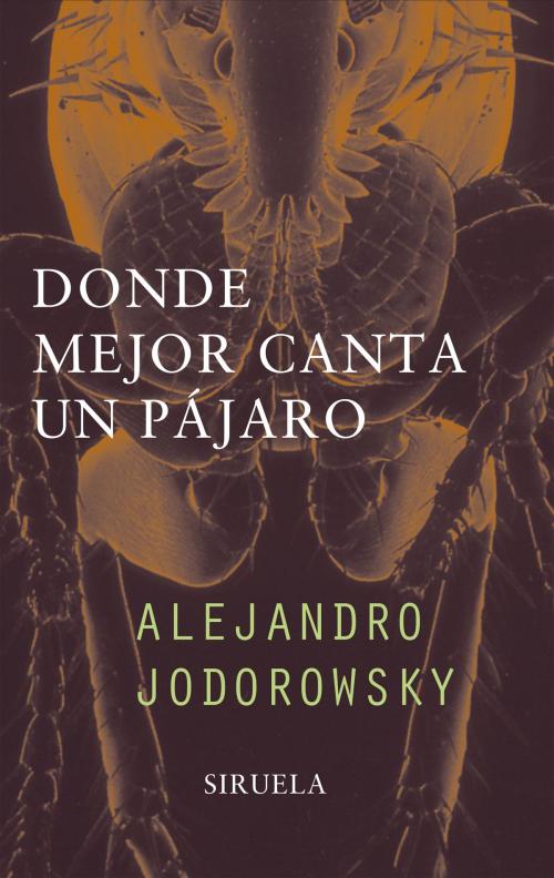 Cover of the book Donde mejor canta un pájaro by Alejandro Jodorowsky, Siruela