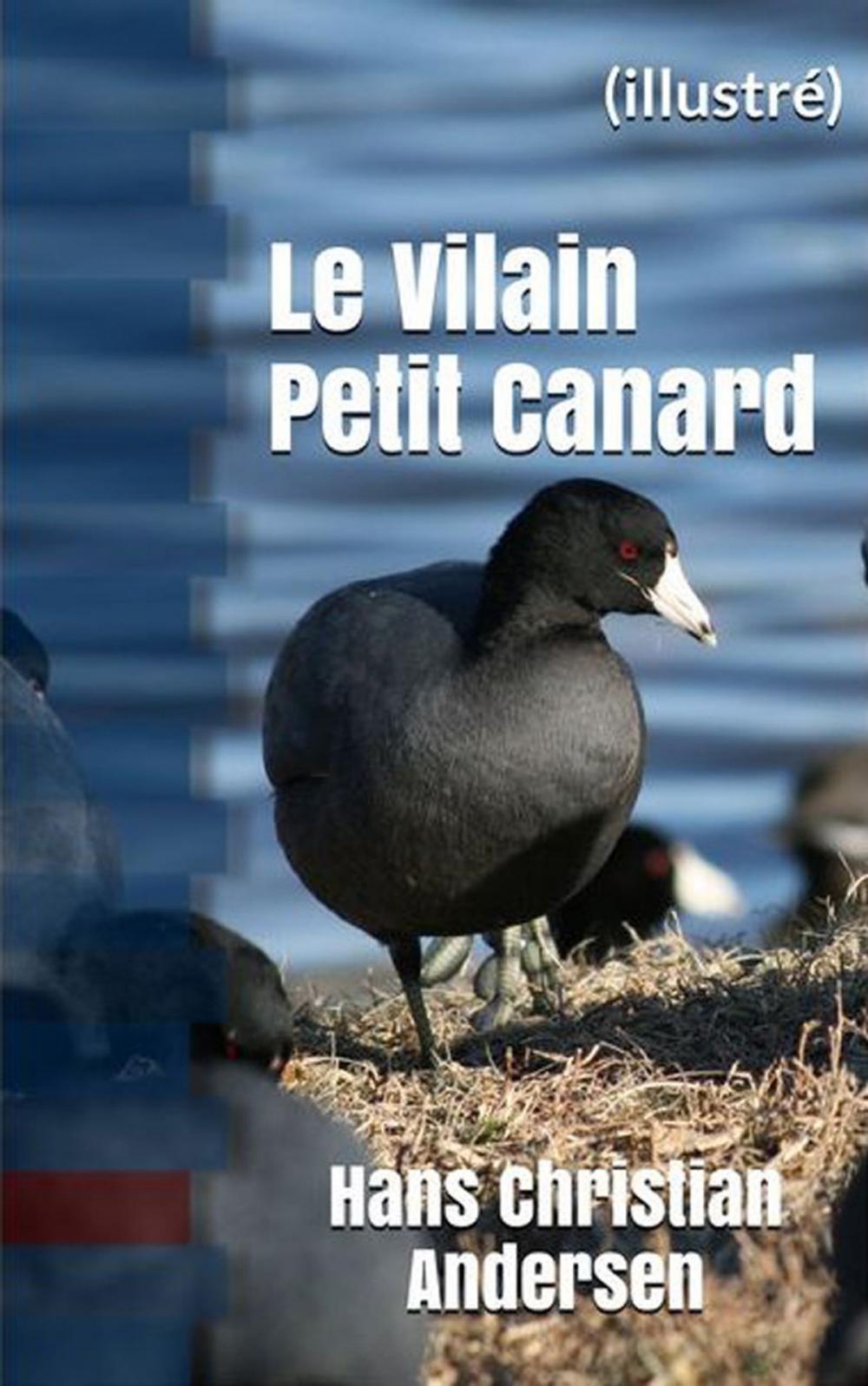 Big bigCover of Le Vilain Petit Canard