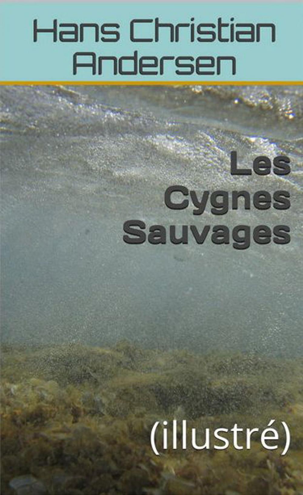 Big bigCover of Les Cygnes Sauvages