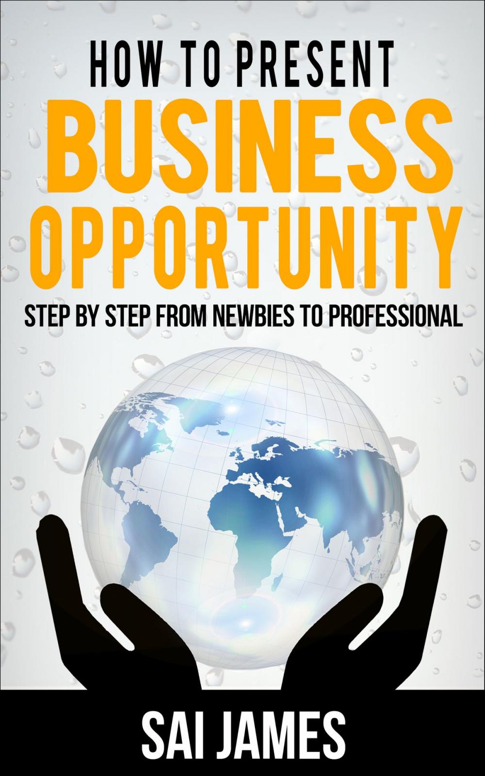 Big bigCover of How to present business opportunity Step By Step from Newbies to Profe