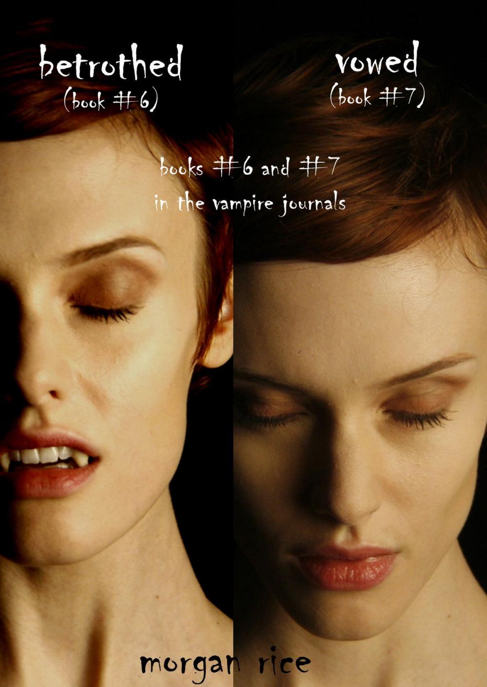 Big bigCover of Vampire Journals Bundle (Books 6 and 7)