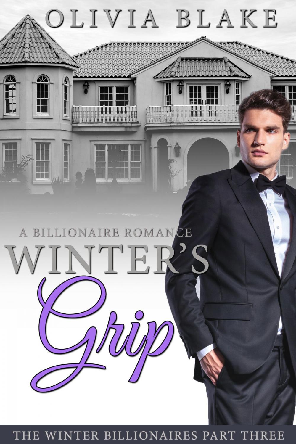 Big bigCover of Winter's Grip: A Billionaire Romance