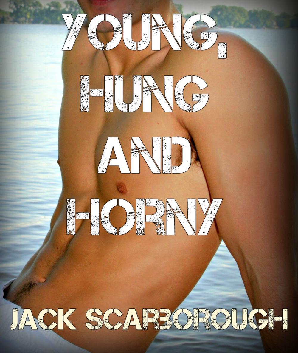 Big bigCover of Young, Hung and Horny