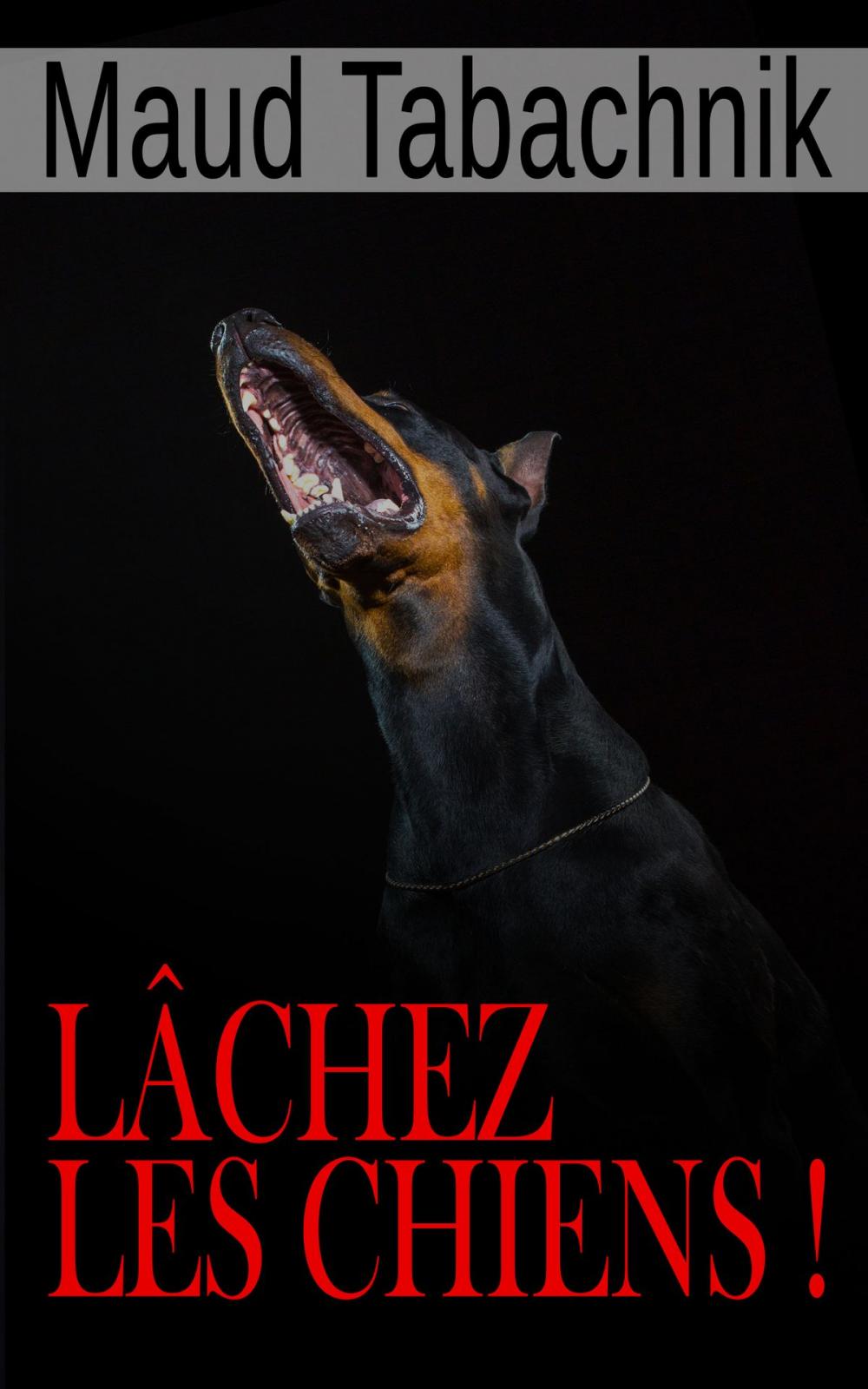 Big bigCover of Lâchez les chiens !