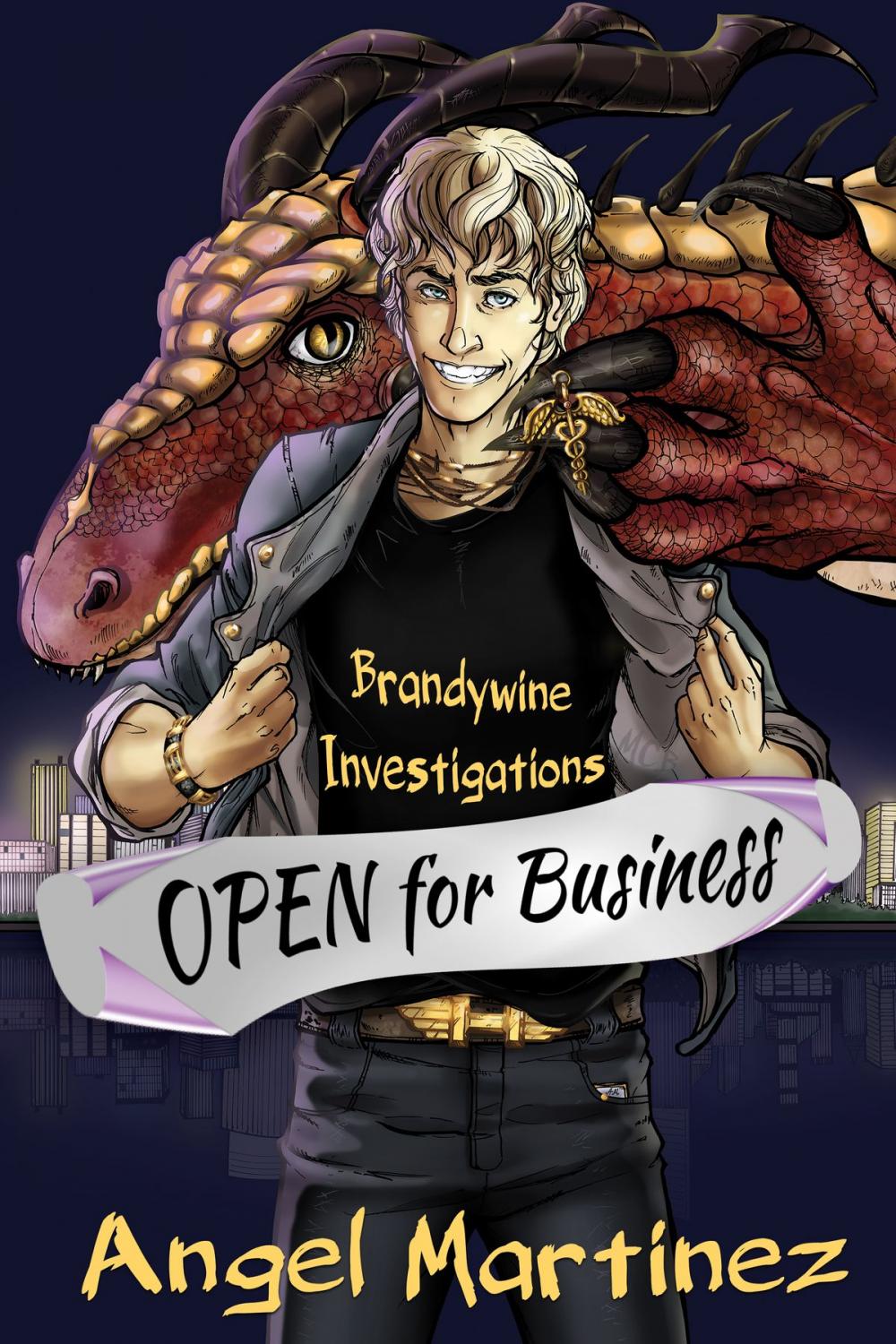 Big bigCover of Brandywine Investigations