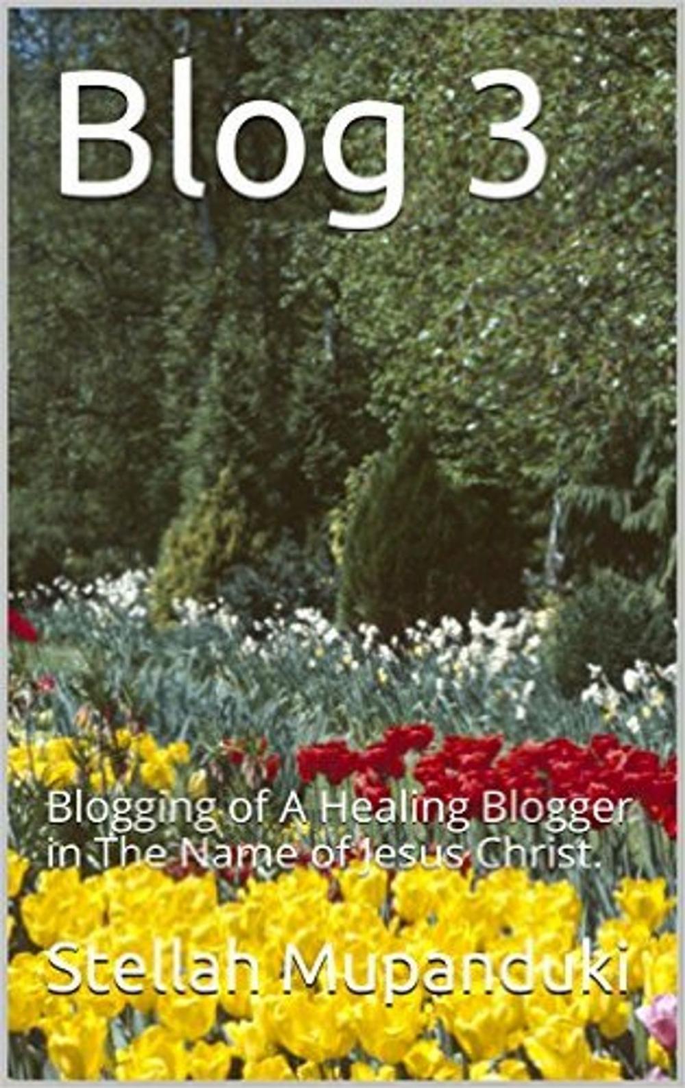 Big bigCover of Blog 3