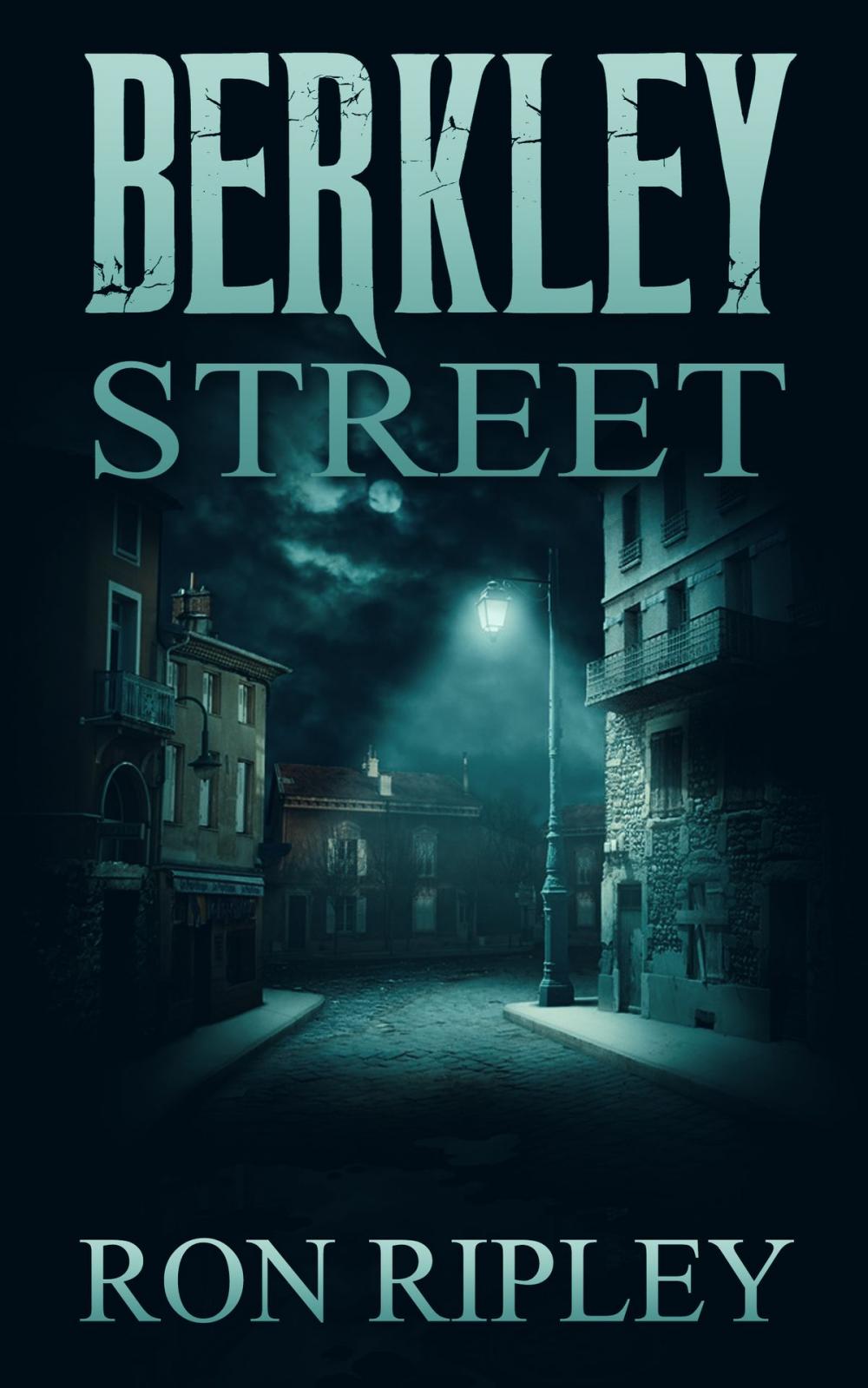 Big bigCover of Berkley Street