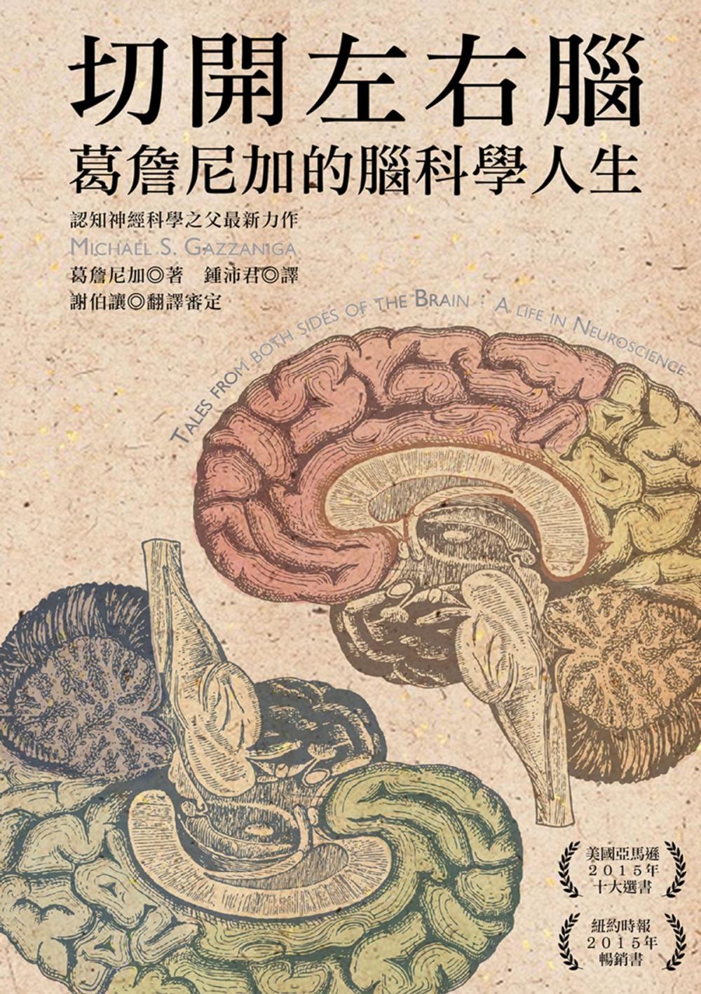 Big bigCover of 切開左右腦：葛詹尼加的腦科學人生