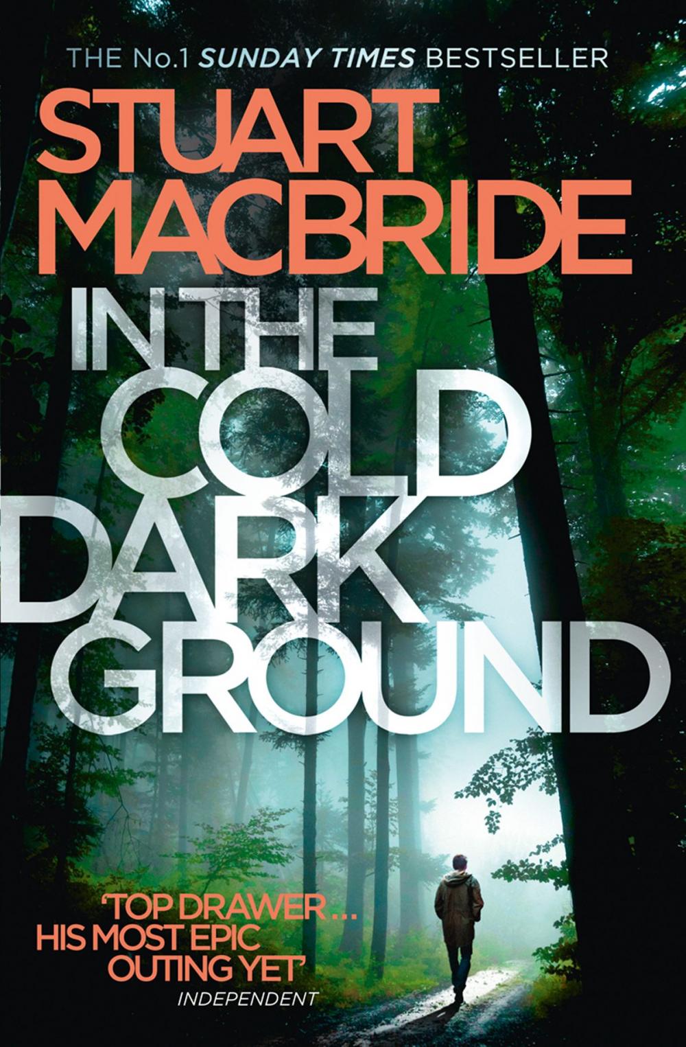 Big bigCover of In the Cold Dark Ground (Logan McRae, Book 10)