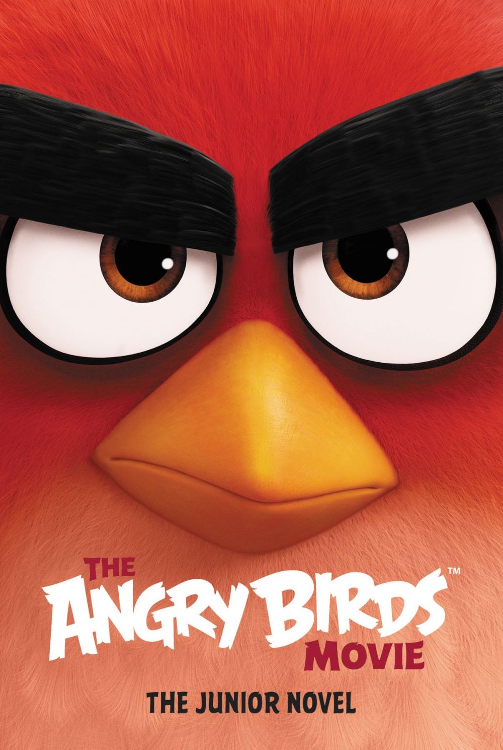 Big bigCover of The Angry Birds Movie: The Junior Novel