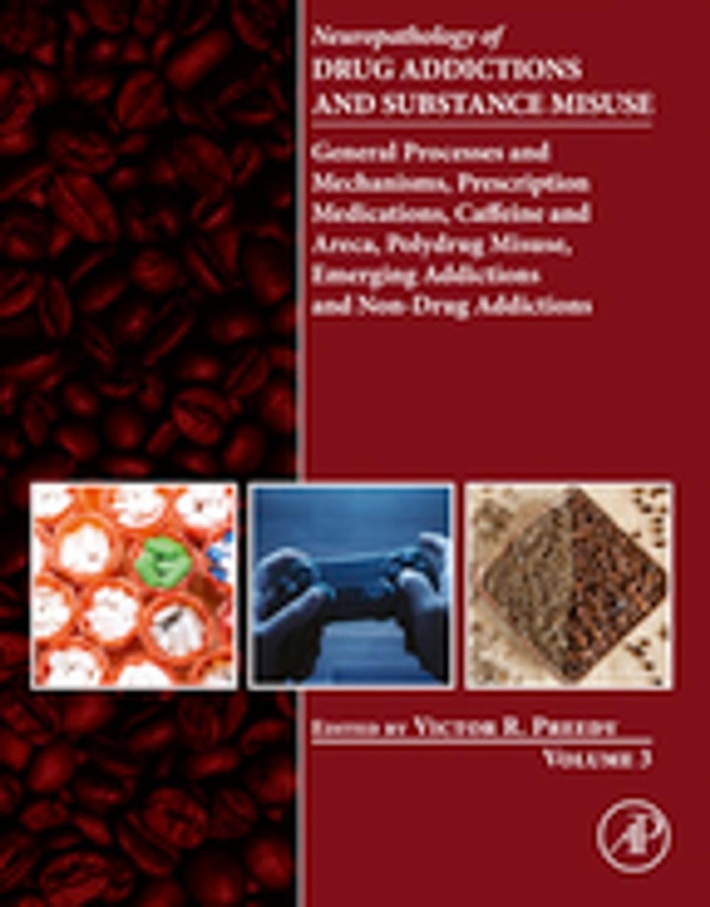 Big bigCover of Neuropathology of Drug Addictions and Substance Misuse Volume 3