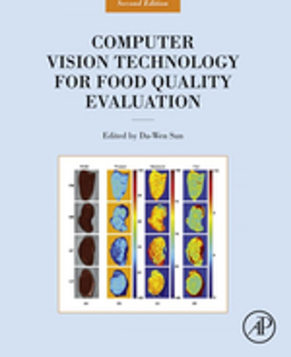 Big bigCover of Computer Vision Technology for Food Quality Evaluation