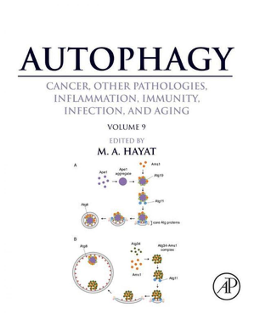 Big bigCover of Autophagy: Cancer, Other Pathologies, Inflammation, Immunity, Infection, and Aging