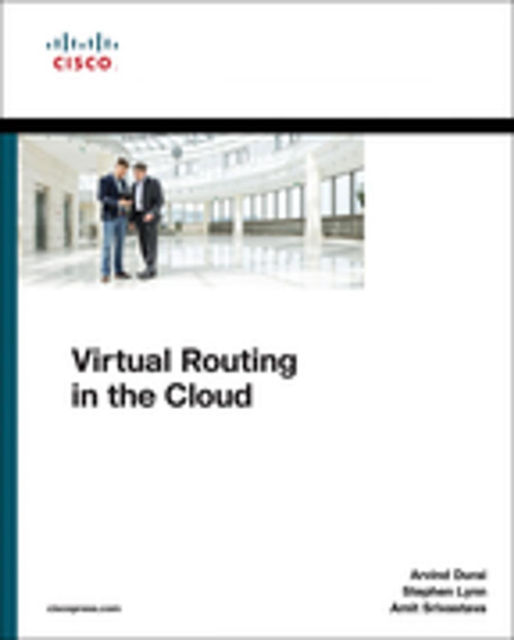 Big bigCover of Virtual Routing in the Cloud