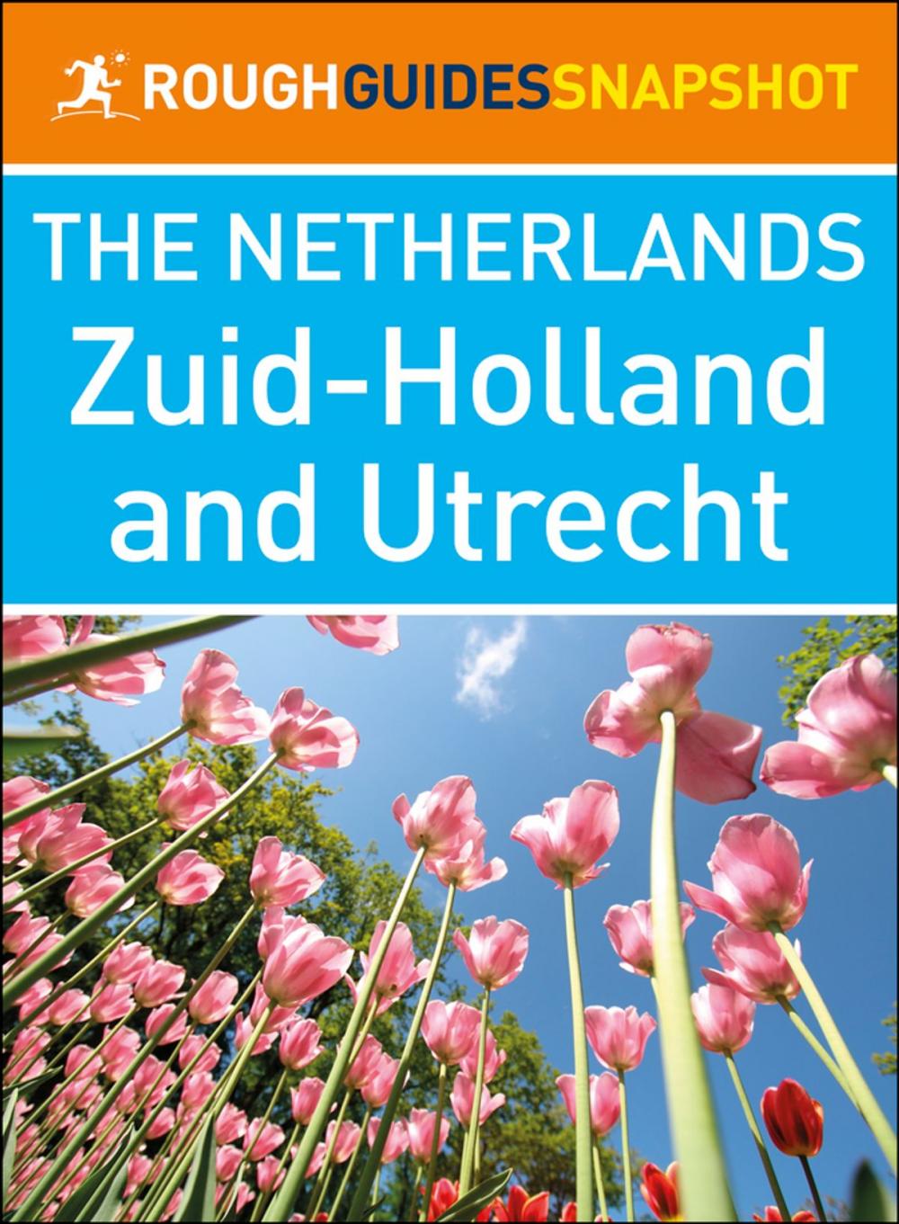 Big bigCover of Zuid-Holland and Utrecht (Rough Guides Snapshot Netherlands)