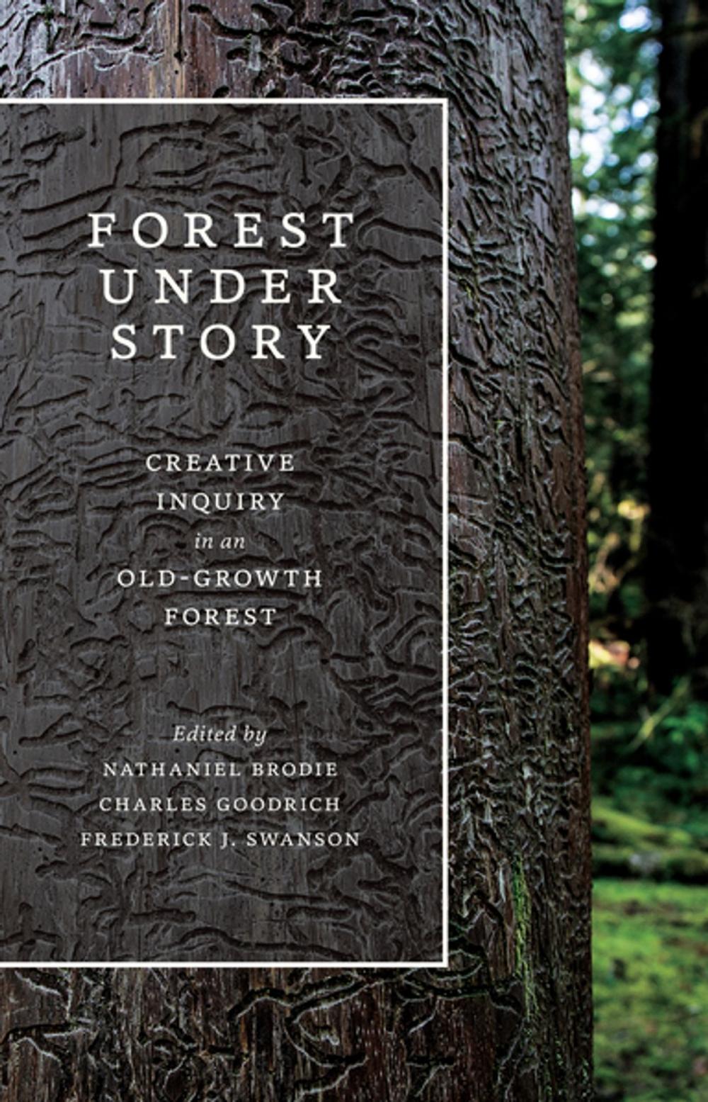 Big bigCover of Forest Under Story