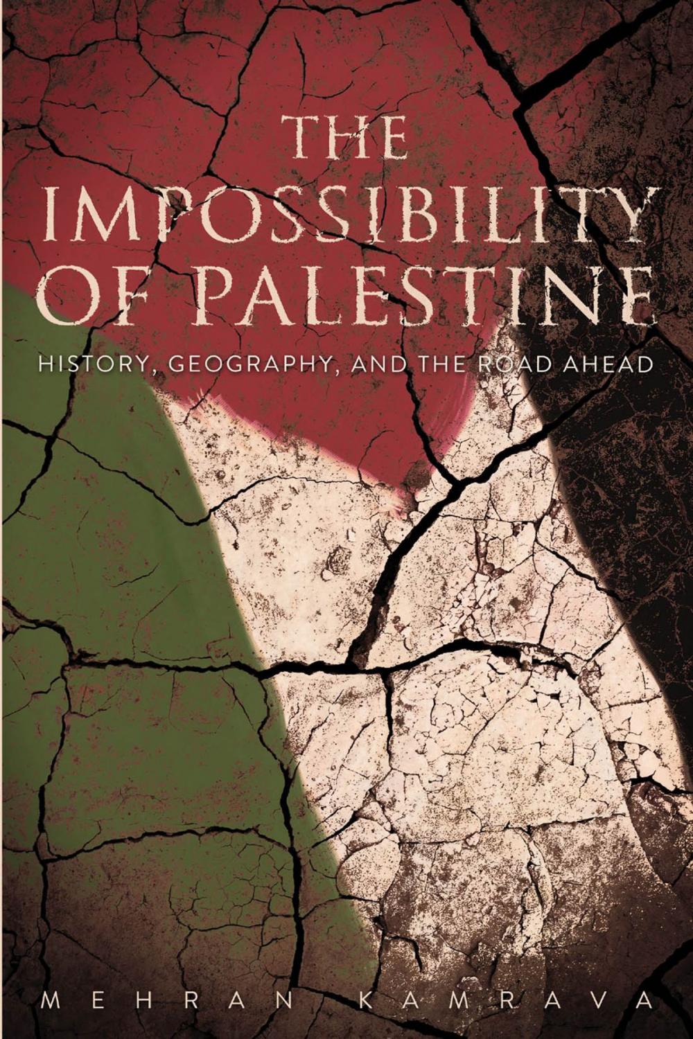 Big bigCover of The Impossibility of Palestine