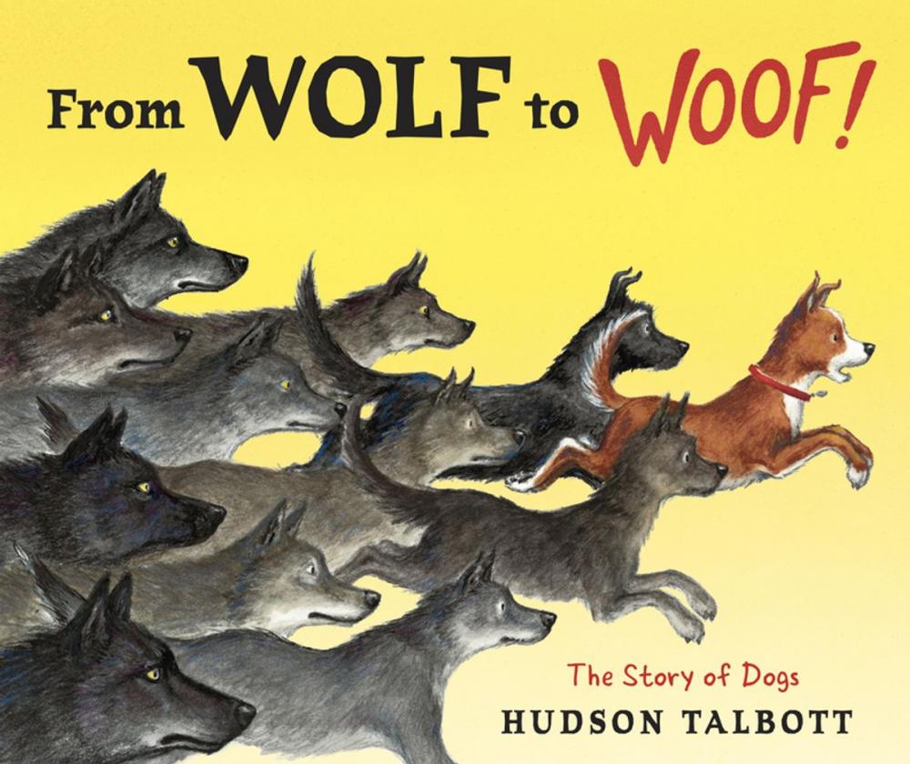 Big bigCover of From Wolf to Woof