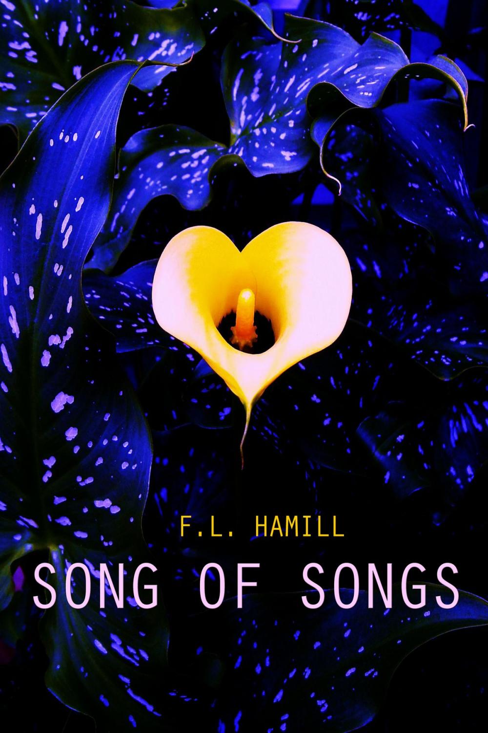 Big bigCover of Song of Songs